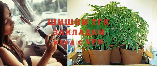 соль курить ск Осинники