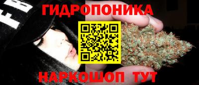 гашик Кимры