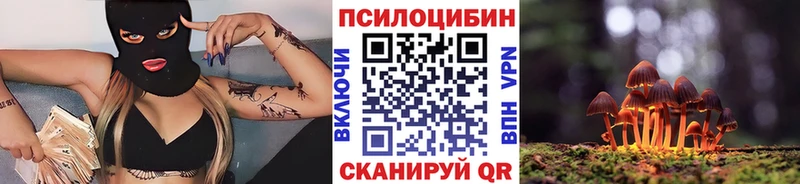 Псилоцибиновые грибы GOLDEN TEACHER  купить наркотик  Тамбов 