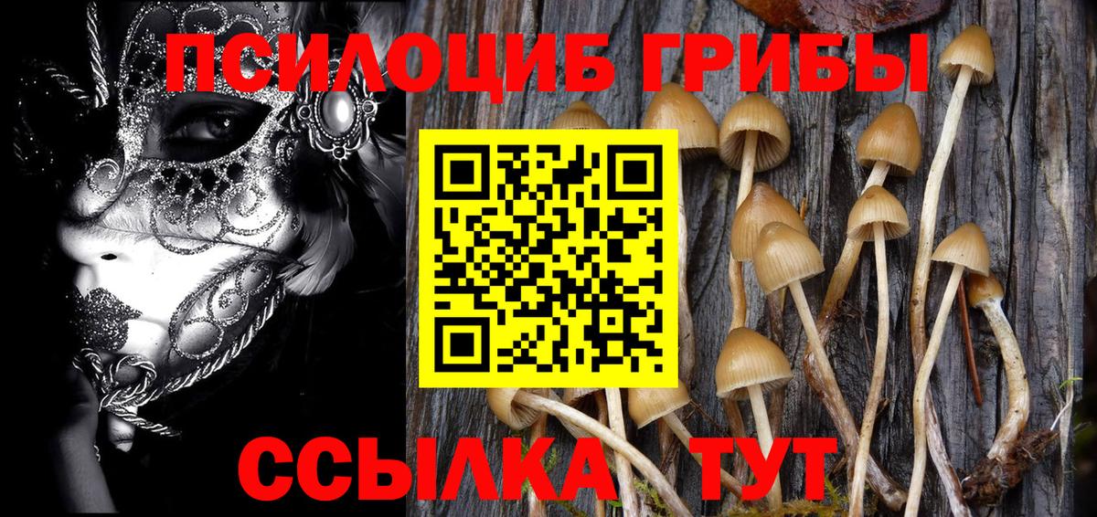 Галлюциногенные грибы Psilocybe  Вход с VPN  Тамбов 