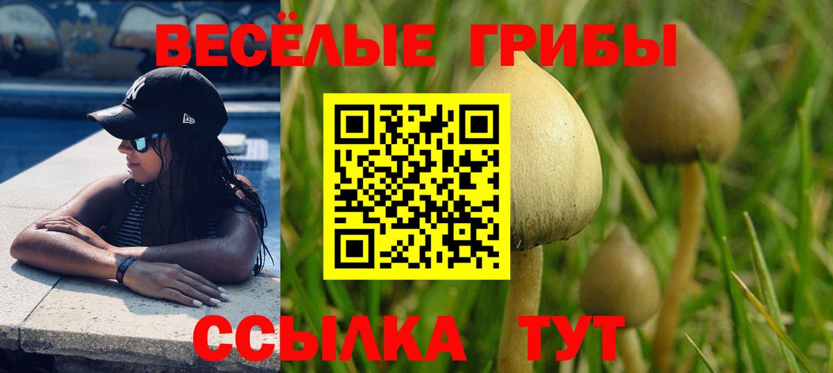Галлюциногенные грибы Cubensis Тамбов