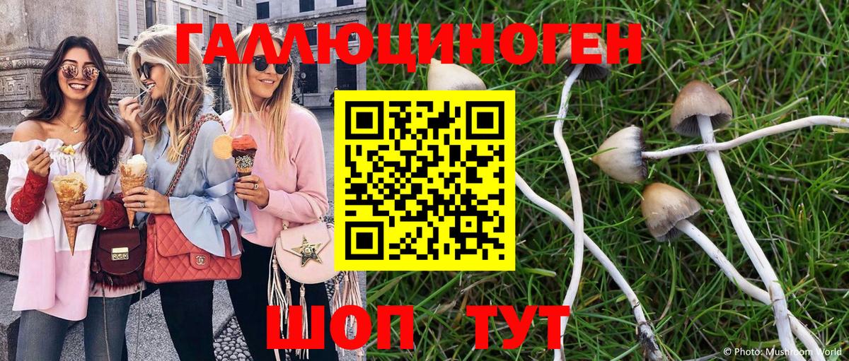 Экстази  Тамбов  Меф МЯУ МЯУ   Вход с VPN  ГАШИШ  Бошки Шишки 